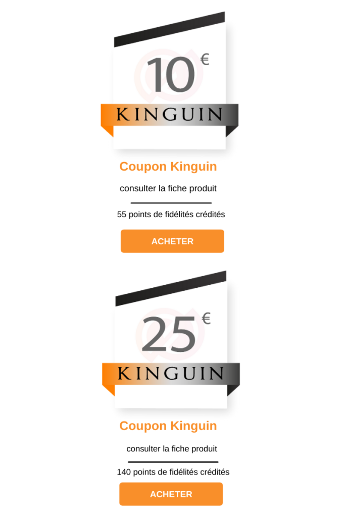 coupon kinguin, carte cadeau kinguin, code promo kinguin, kinguin 10€, kinguin 25€